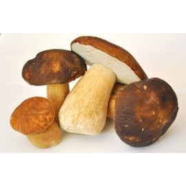  Frozen mushrooms (Boletus edilius)1kg
