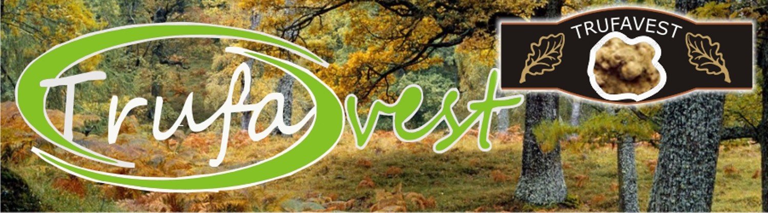 trufe de vanzare, produse cu trufe